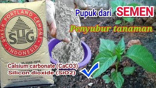 cara buat pupuk dari semen untuk tanaman
