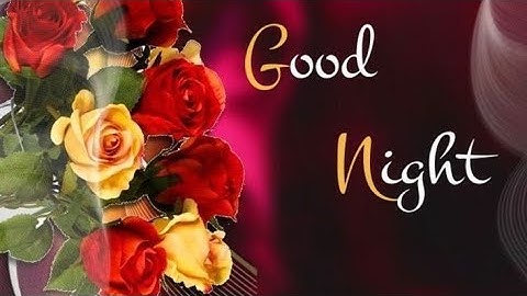 Good night Vedeo | Good Night Love Whatsapp Status Video