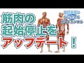 【2020年最新】理学療法士必見！筋肉の起始停止をアップデートしよう！