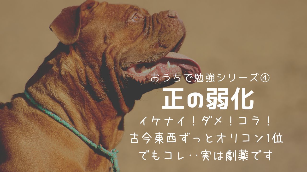 【おうちで勉強シリーズ④】正の弱化【オペラント条件づけ】