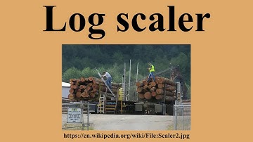 Log scaler
