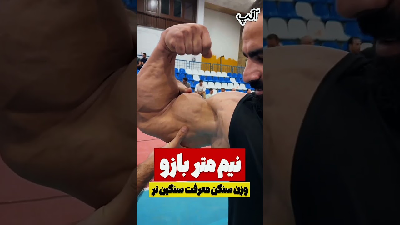 Hadi Choopan Biceps Size 
