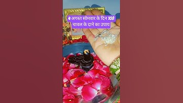 4 अगस्त सोमवार के दिन 108 चावल के दाने का उपाय जरूर करें 🔱🙏#pradeepmishrajidhankeupay