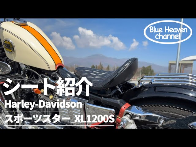 シート紹介】3台目で遂に最高のシート見つけました‼️痛くない