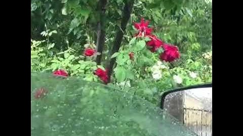 سورة الزاريات /ሱረቱ አል ዛሪያት