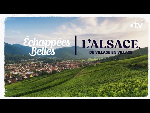 Vidéo: 12 attractions touristiques les mieux notées à Colmar