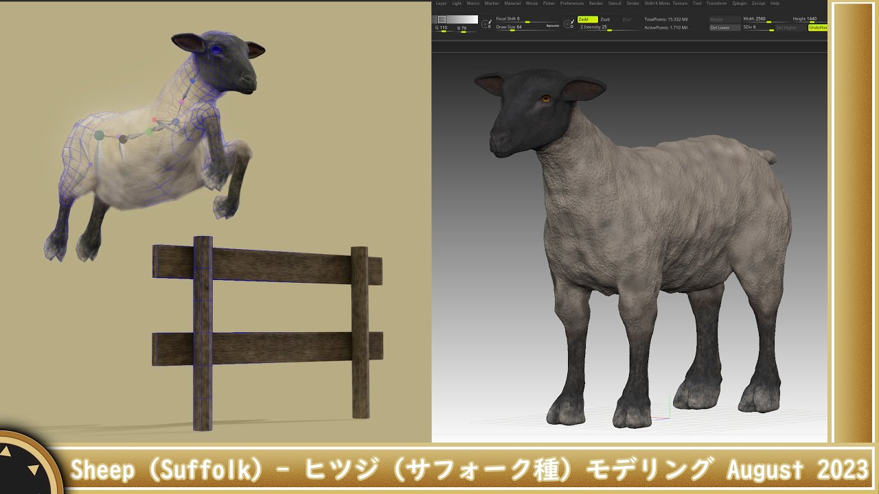 Sheep(Suffolk) - ヒツジ（サフォーク種） - August 2023 - YouTube