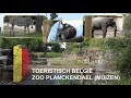 België | Zoo Planckendael | Muizen