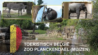 Zoo Planckendael (Muizen)