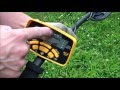 metal detecting with the ace 300