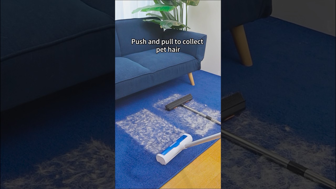 Pet hair on your carpet? 😩 Check out which tool can help you quickly remove pet hair!⚡️
