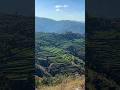 🫠beauty of nature⛰️🌳