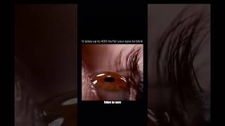 Your Eyes Take 400ms to React