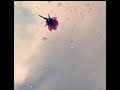 حالة هانى شاكر يا احلى عيون