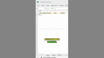 AUTONUMBER DI EXCEL‼️ #belajarexcel #exceltips #excelhacks #exceltutorial #excel #microsoft
