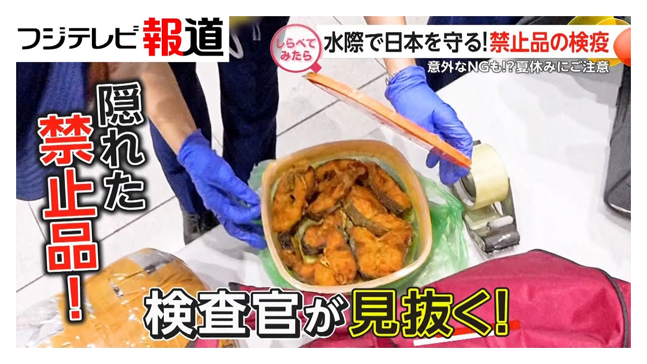 水際で日本を守る！禁止品の検疫【しらべてみたら】（2025年8月）