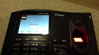 Using the Synergy Timeclock