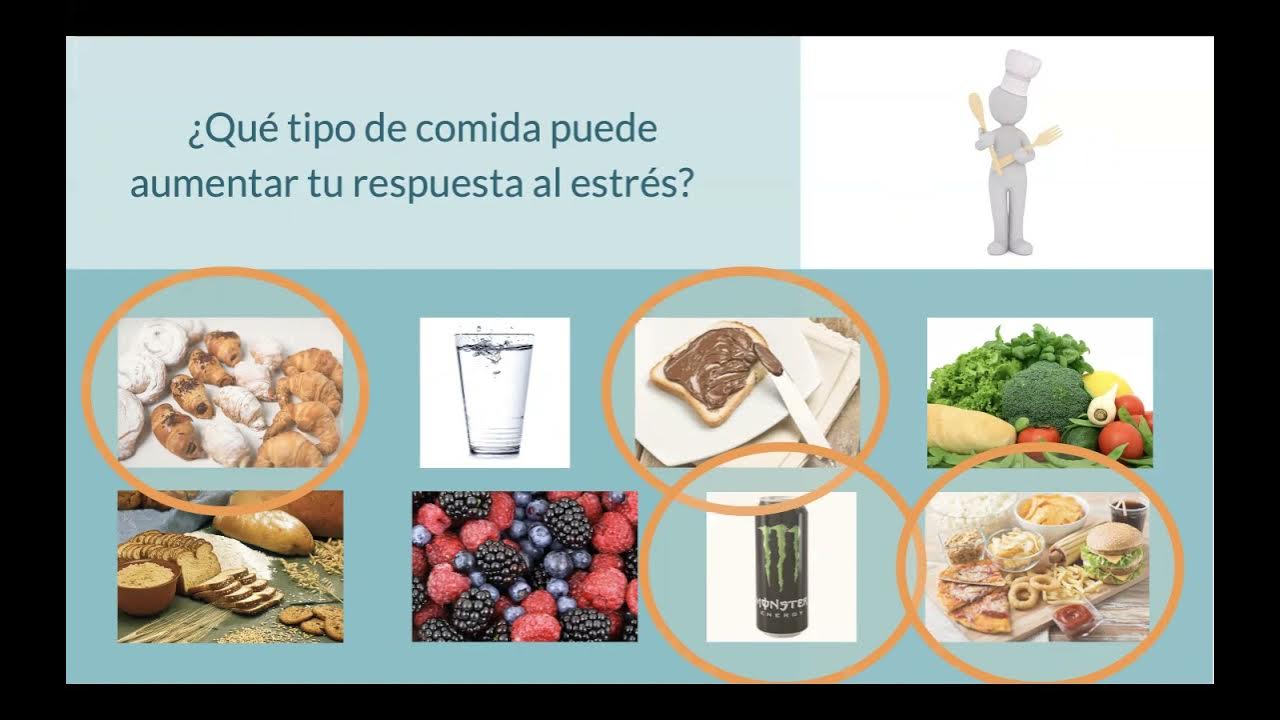 Video MOOC Unit 7C Nutrition | ESP - YouTube