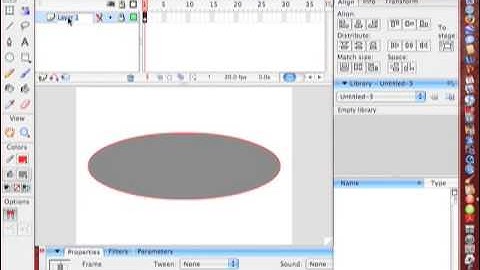 Adobe Flash 1 Introduction