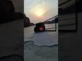 mahindar thar roxx rc video editing #viral #shortvideo