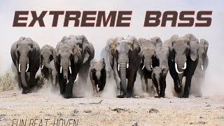Vestiga - Elephant [music video] // Extreme Drop