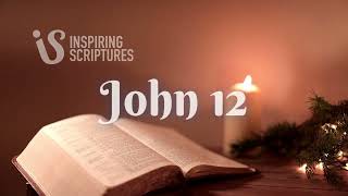 John 12 NLT, Bible Verse, Inspiring Scriptures.