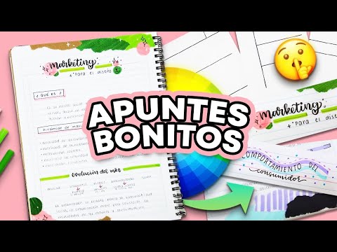 APUNTES BONITOS!! 5 pasos ✨ (Retículas, títulos bonitos, colores) ✄ Barbs Arenas Art!
