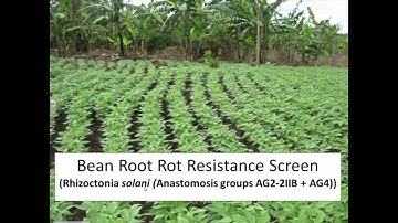 Part 2 ANOVA and Summary Statistics
