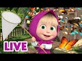 🔴 AO VIVO 👱♀️🐻 Masha e o Urso 🤗 A felicidade é feita em casa 🏠 Masha and the Bear