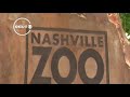 Why a proposed data center near the Nashville Zoo is controversial