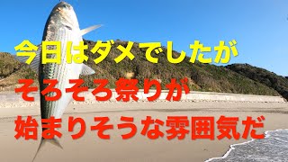 【サーフヒラメ】遠州サーフ表浜の様子を見に行ってみた 2020.10.30