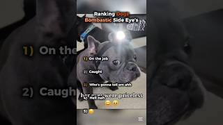 Ranking Dogs Bombastic Side Eyes