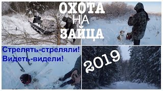 Охота#20 на зайца.Видеть видели, стрелять стреляли!