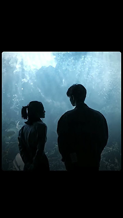 And when I'm back in Chicago, I feel it ♡