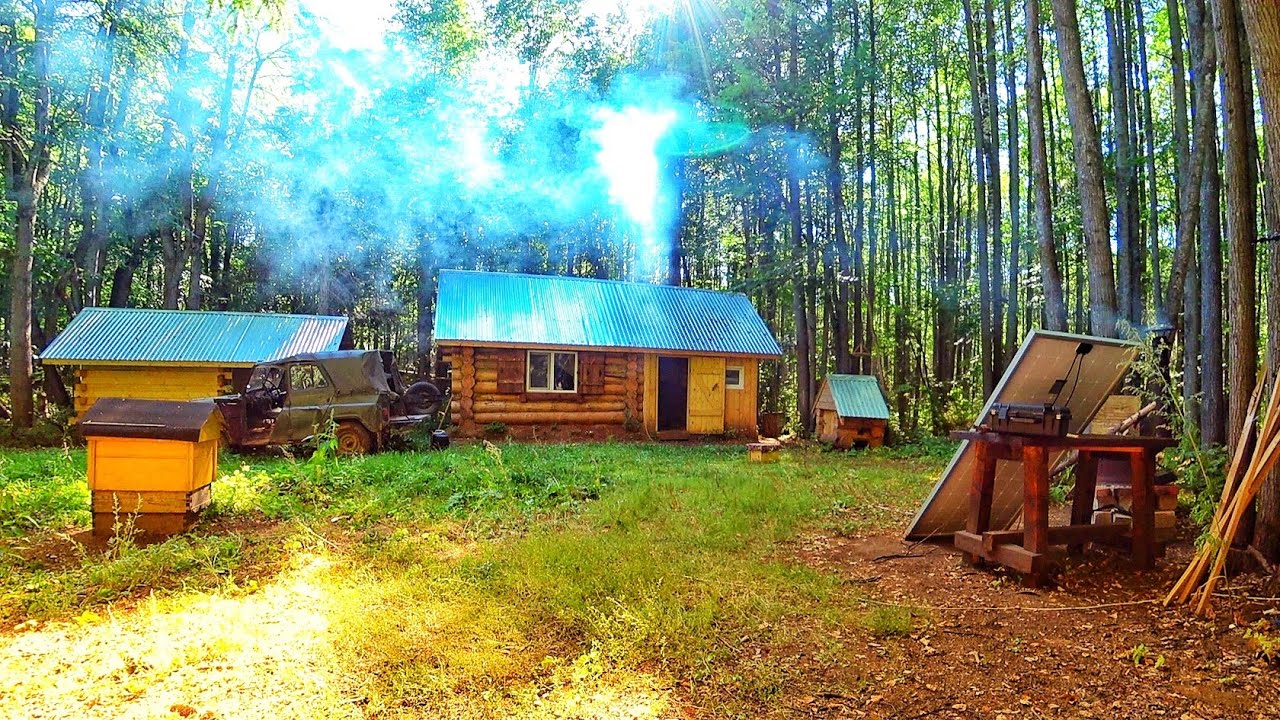 Только один я, медведь и тайга | Готовлюсь к осени - YouTube