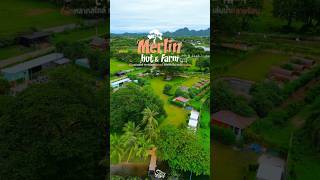 Merlin hut & Farm ที่พักหลากสไตล์ กาญจนบุรี ไฮไลท์ต้นไม้คู่ #merlinhutandfarm #ShareStoryแชร์สตอรี่