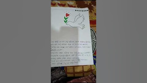 jigyansa project #aasa pakhiku chinhiba#aasa pakhi saha udiba#science project #jigyansa