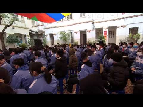 Lễ phát động cuộc thi viết thư quốc tê UPU Phần 8  | THCS Hồng Bàng#THCSHongBang