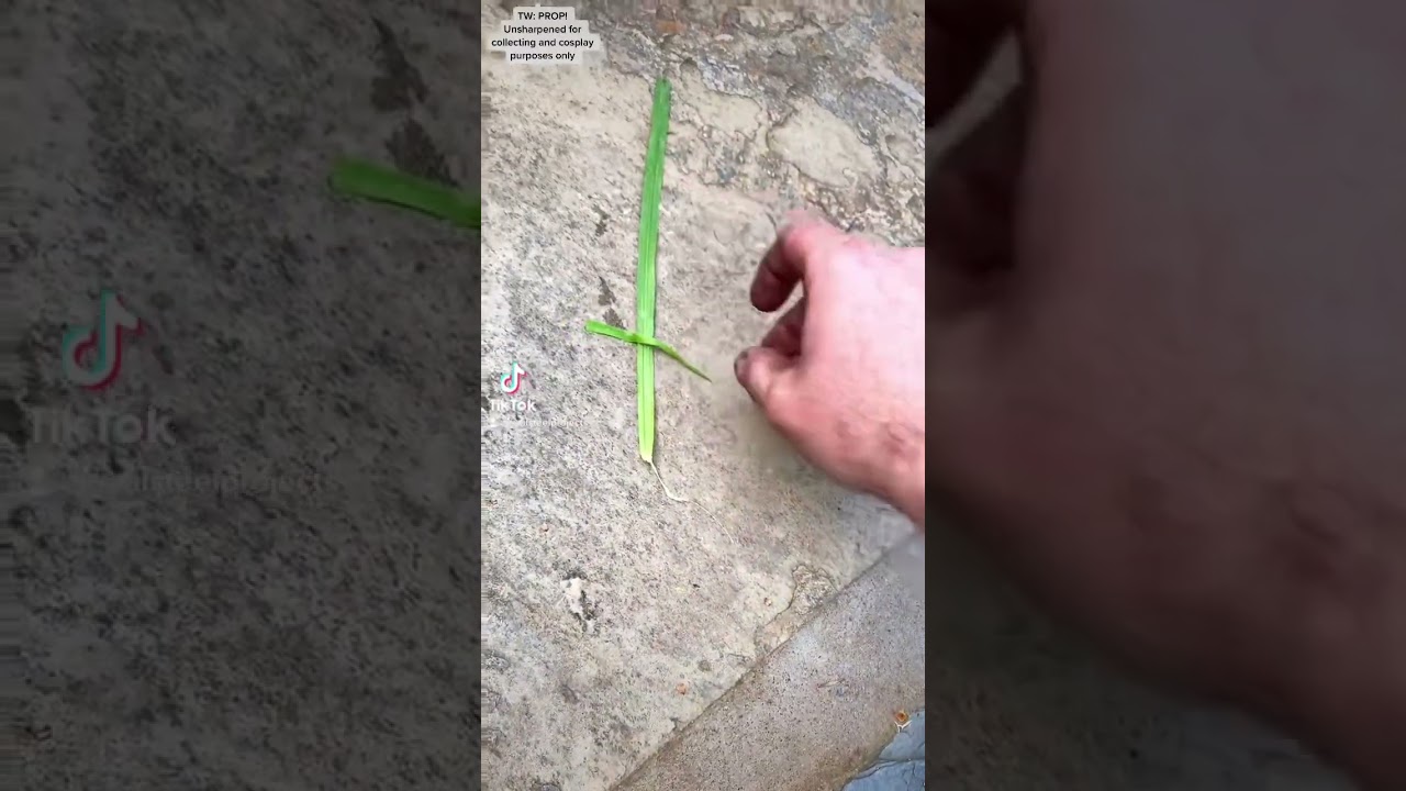 The Grass Sword!
