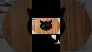 Cat Head Shape Scratcher cum Cat Nest