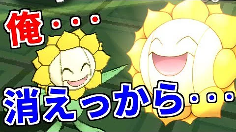 ぽへusum