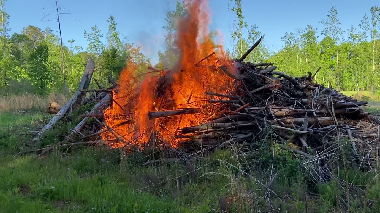 Burning pile after Logging YouTube