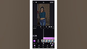 HDR CC Effect Video Editing | Black Effect Video Editing | Motion Ninja Tutorial #shorts