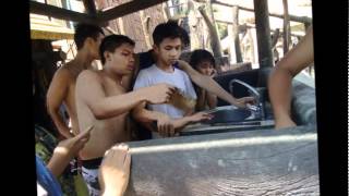 JBLFMU SKIPPER BATCH 2008- 2012