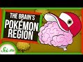 Your Brain Probably has a "Pokemon Region" | SciShow News