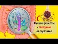 Гвоздика от паразитов и глистов: как принимать, полезные свойства и противопоказания