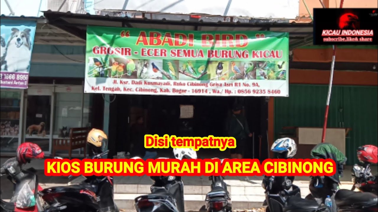 Abadi bird cibinong