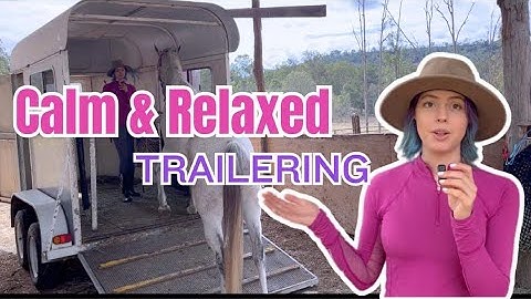 HOW TO: Trailer loading/ floating a horse using clicker training (your horse will love the trailer)