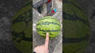 Experiment: Will a watermelon explode if it rolls down from a tall building?#watermelone