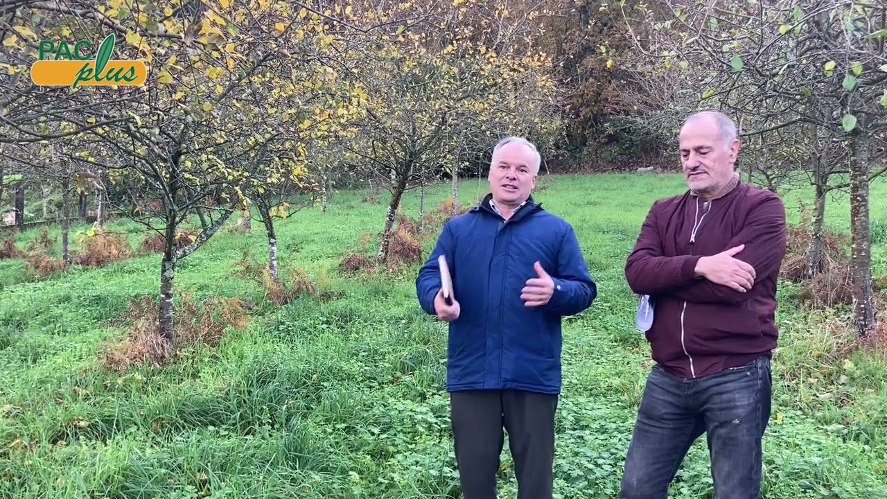 Los 7 ECOMagníficos: 